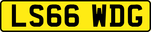 LS66WDG