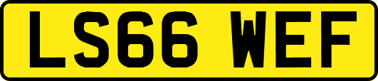LS66WEF