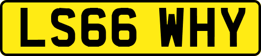 LS66WHY