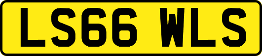LS66WLS