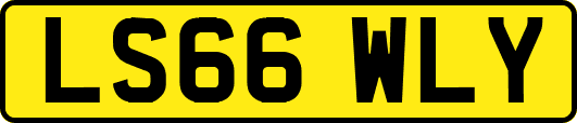 LS66WLY