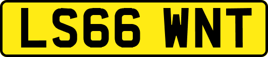 LS66WNT