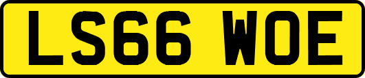 LS66WOE