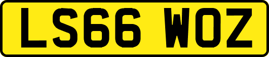 LS66WOZ