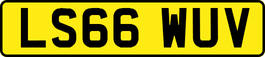LS66WUV