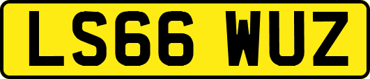 LS66WUZ