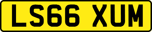 LS66XUM