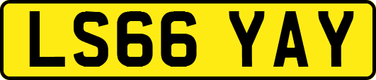 LS66YAY