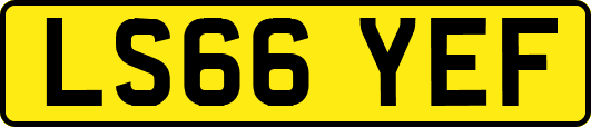 LS66YEF