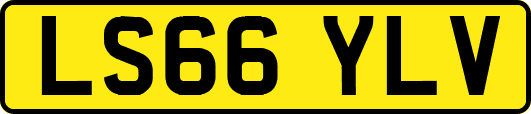 LS66YLV