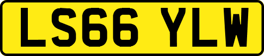 LS66YLW
