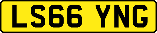 LS66YNG