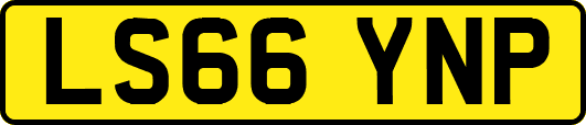 LS66YNP