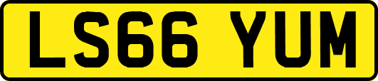 LS66YUM