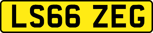 LS66ZEG