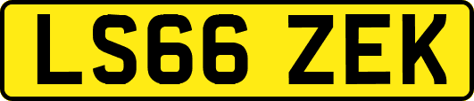 LS66ZEK