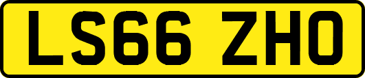 LS66ZHO