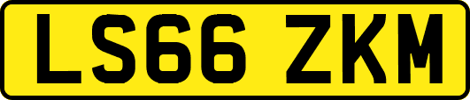 LS66ZKM