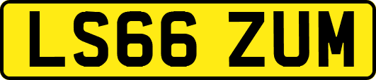 LS66ZUM