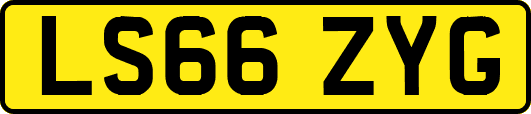 LS66ZYG