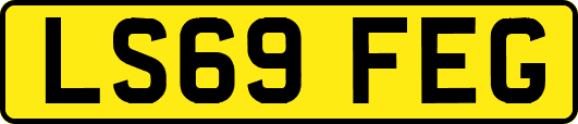 LS69FEG