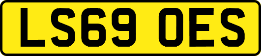 LS69OES