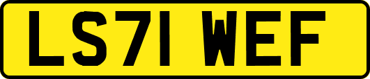 LS71WEF