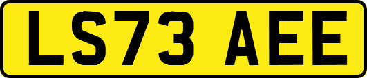 LS73AEE
