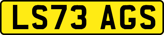 LS73AGS