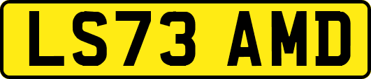 LS73AMD