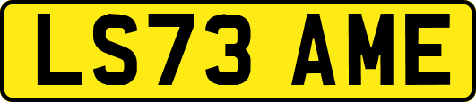 LS73AME