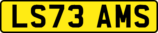 LS73AMS