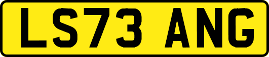 LS73ANG