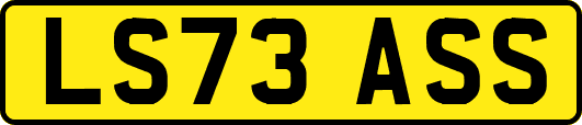 LS73ASS