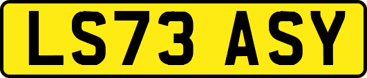 LS73ASY