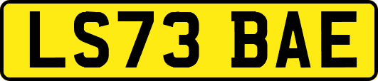 LS73BAE
