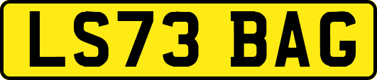 LS73BAG