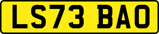 LS73BAO