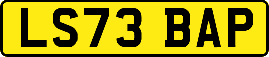 LS73BAP