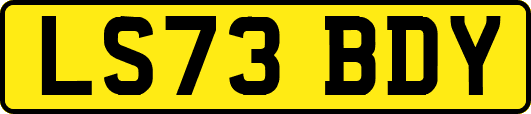 LS73BDY