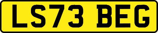 LS73BEG