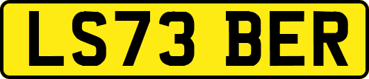 LS73BER