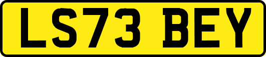LS73BEY