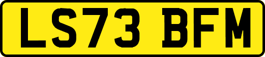 LS73BFM