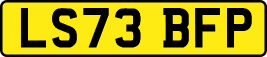 LS73BFP