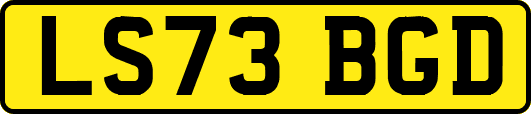 LS73BGD