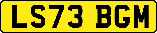 LS73BGM