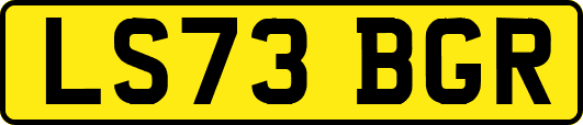 LS73BGR