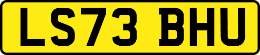 LS73BHU