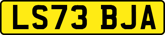 LS73BJA